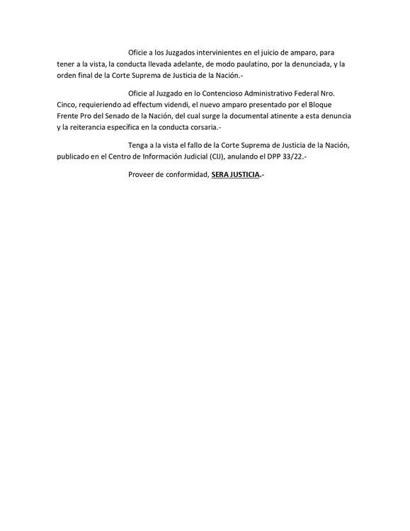 FORMULA DENUNCIAJUEZCRISTINA_page-0007