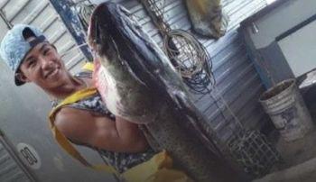 378241655_1397284207797467_7977543122914969226_n