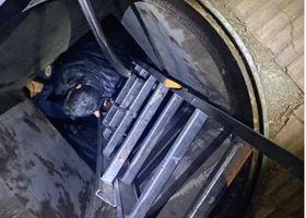 373290736_955837305480211_6870703858963503708_n