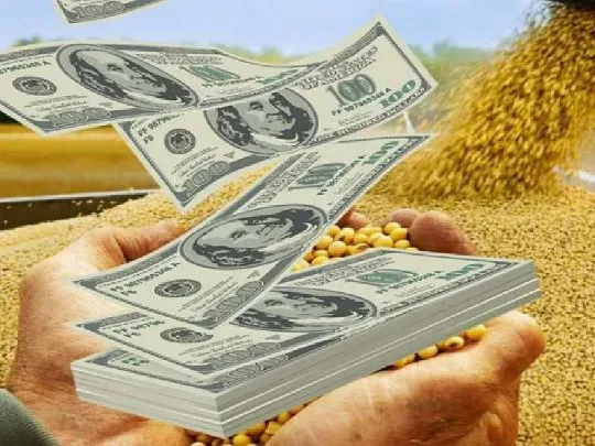 dolares-campo-soja-agrodolaresjpg