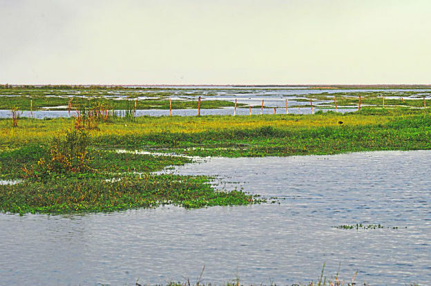 campo-norte-cordobés