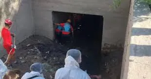 descarga