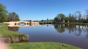 descarga (1)