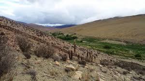 descarga (1)