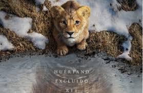 descarga (5)