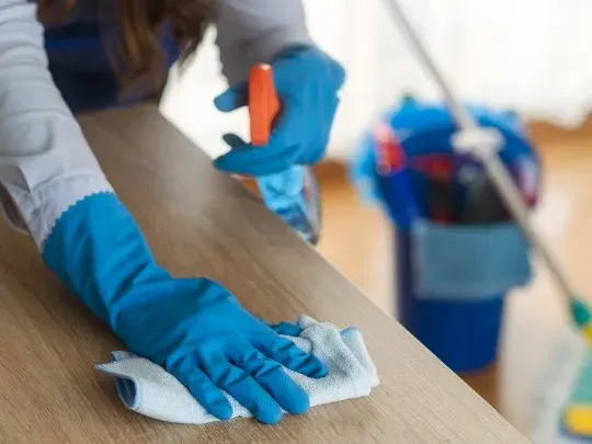 empleadas-domesticas