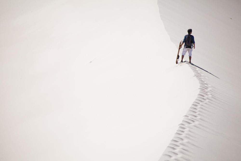 f850d8e1-d4e8-4b12-ad97-a36895fb46f1