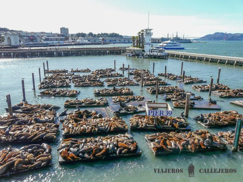 fishermans-wharf