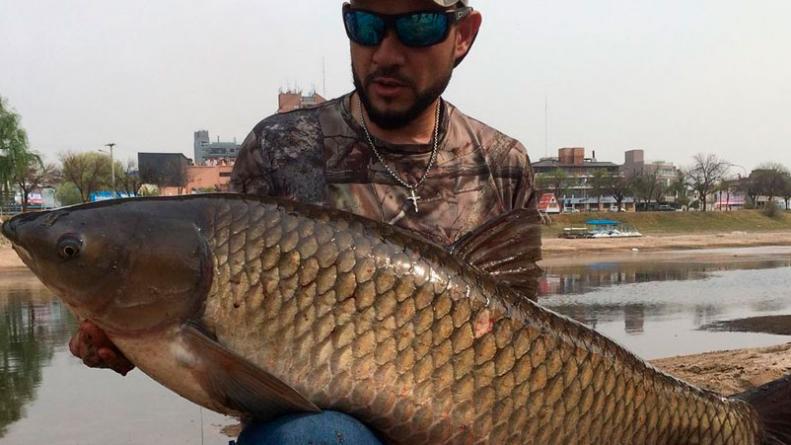 carpa-40-kilos-récord-carlos-paz
