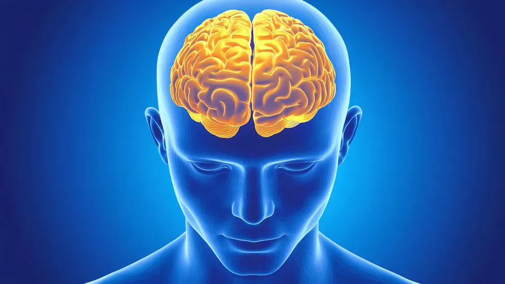 6KIGMW77LVE53CTQDIM5RHEUJA