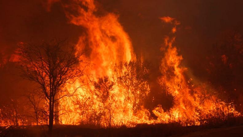 incendio-charbonier-detenido-esposa