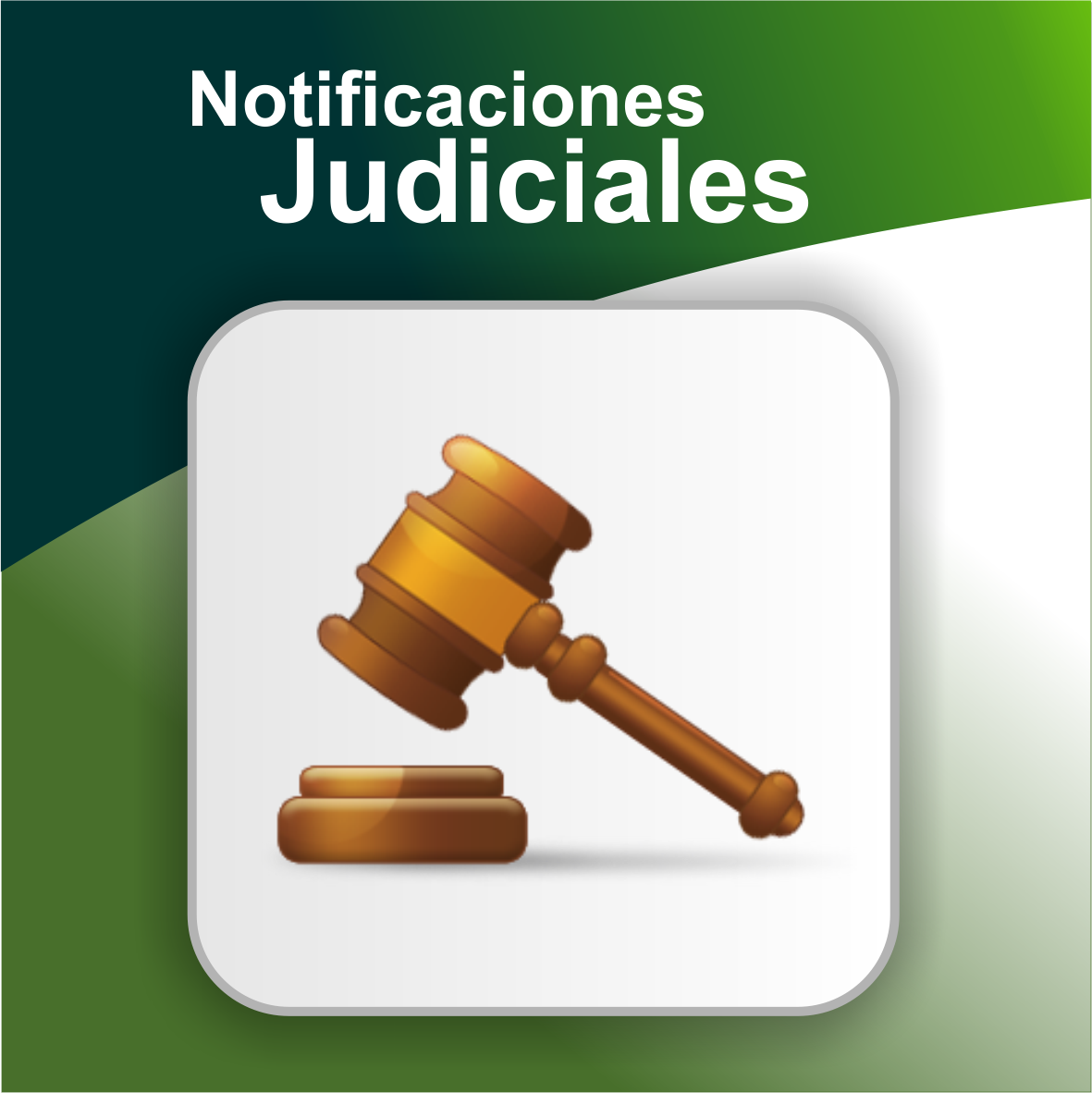 multimedia.grande.b71f8c0e1cf3cbc2.4e6f74696669636163696f6e65735f6a7564696369616c65735f6772616e64652e706e67