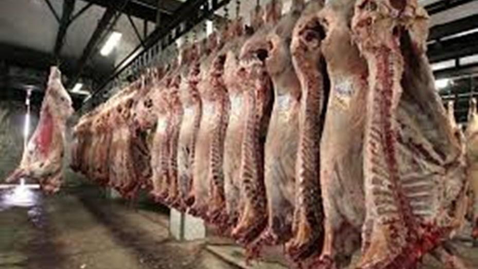 carne