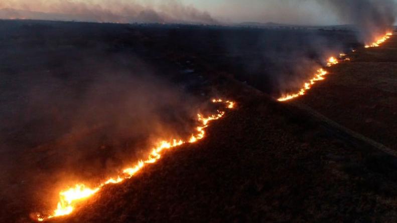 fuego-incendio-malagueno