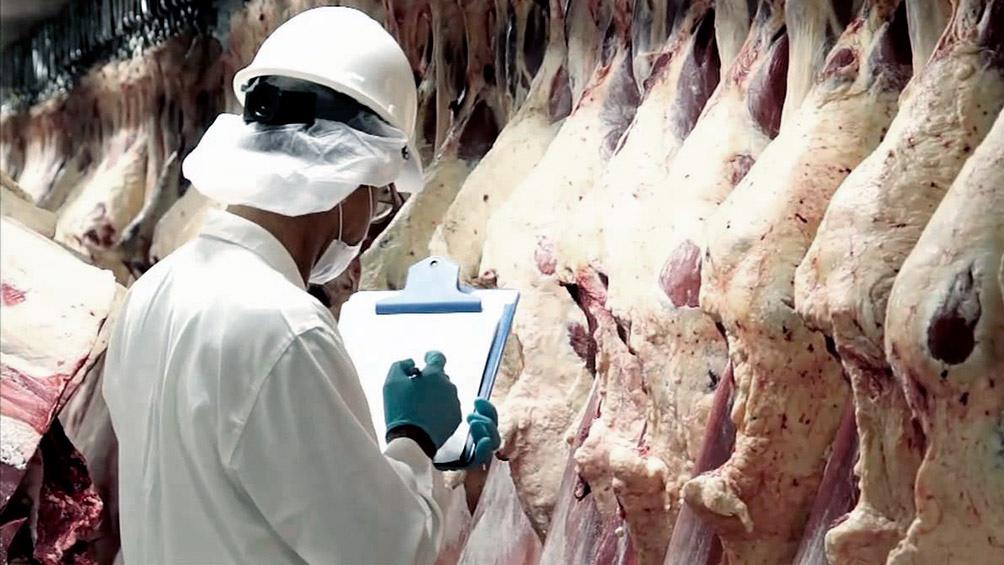 CARNES