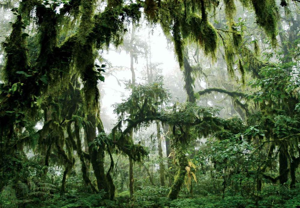 af1f036d-9f8a-4147-a237-32b83df67088