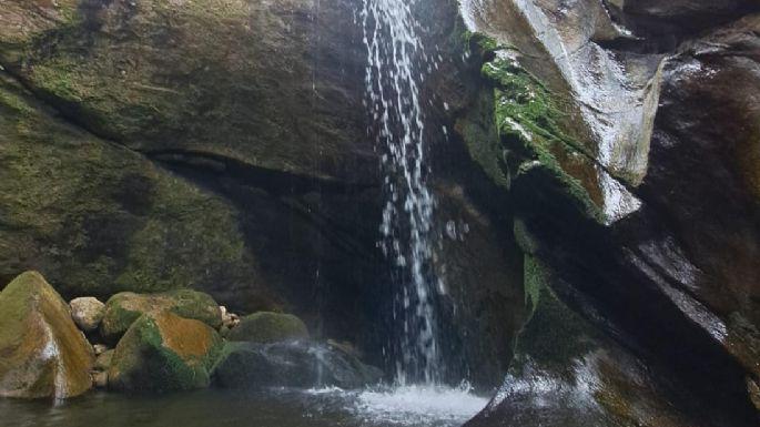 f685x385-283605_321298_5050