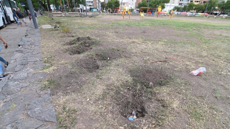 plaza-plantines
