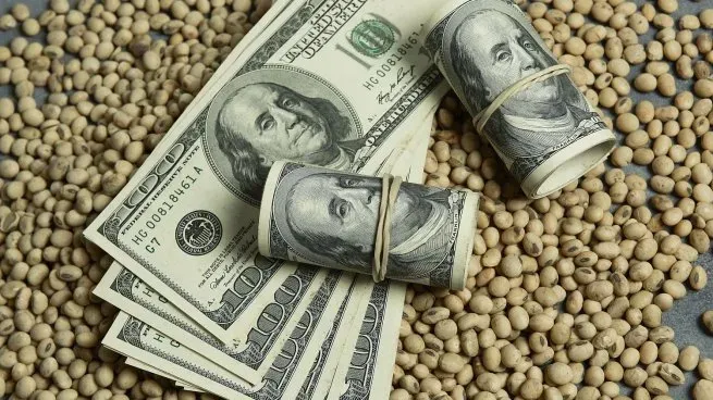 dolar-sojajpg