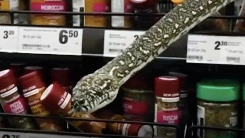 serpiente-australia-supermercado-viral