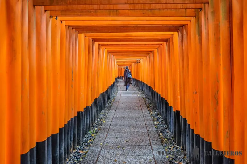 inari-kioto