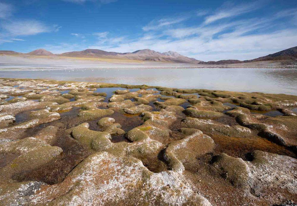 f948d3d9-ea96-43b0-943f-0f2225d28705