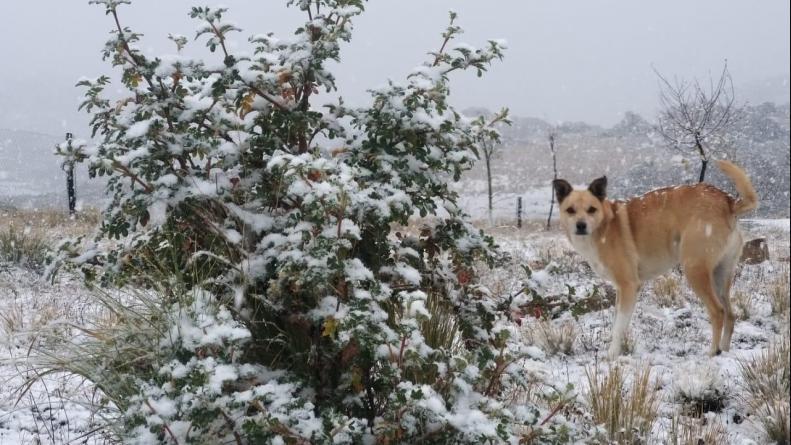 nieve altas cumbres (4)