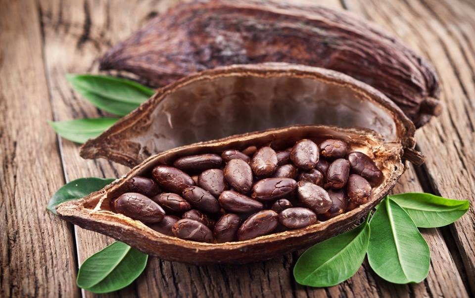 cacao1