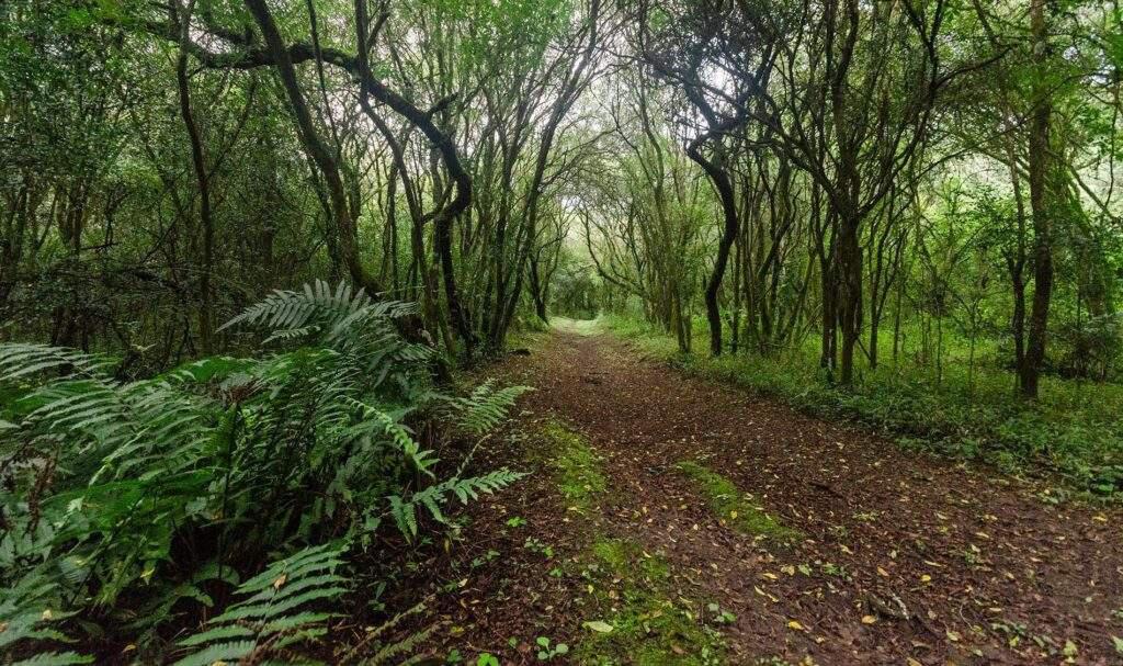 parque-nacional-el-rey-1024x607